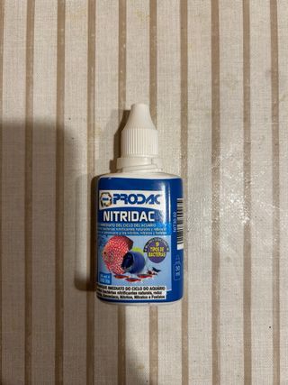 Acuario marino , roca , skimmer