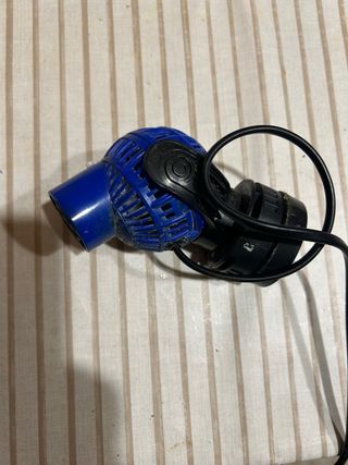 Acuario marino , roca , skimmer