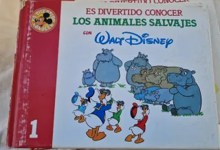 coleccion es divertido conocer de walt disney