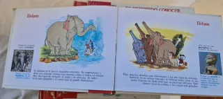 coleccion es divertido conocer de walt disney