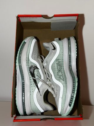 Nike Pegasus Premium gris/verde