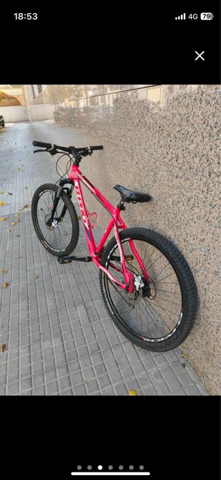 Bicicleta de Montaña fuccia.