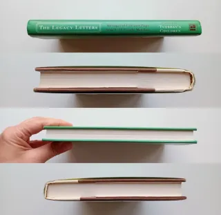 The Legacy Letters,Messages of Life...Brian Curtis