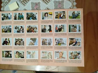 Libro Con Ocho Basta Serie TV