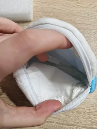 Monedero de Japón, Fuji San