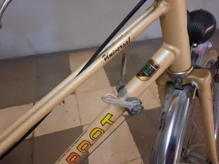 Bicicleta Paseo Torrot Vintage