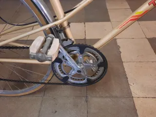 Bicicleta Paseo Torrot Vintage