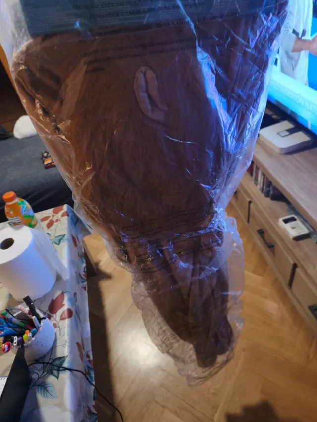 Fantasia de Leão Infantil 7-9 Anos