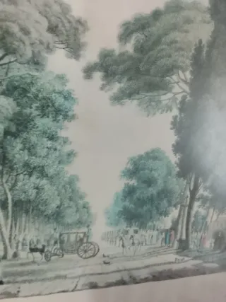 Grabado antiguo coloreado Vista de la Alameda