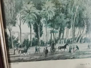 Grabado antiguo coloreado Vista de la Alameda