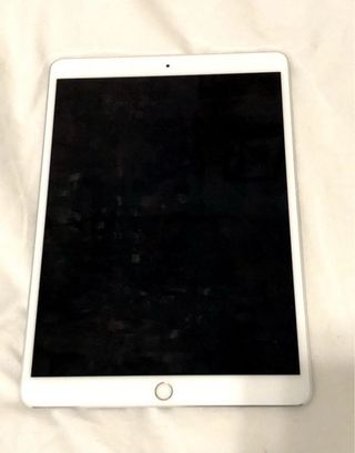 iPad Pro 10,5 256GB Plata - Excelente Estado