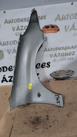 Aleta izquierda ancha Gris Peugeot 206 XS / GTI