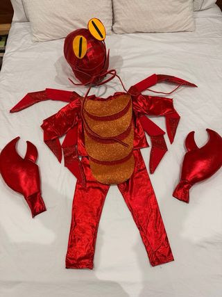 Disfraz Cangrejo Ermitaño Niño 5-6 Años