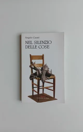 Nel silenzio delle cose di Angelo Casati