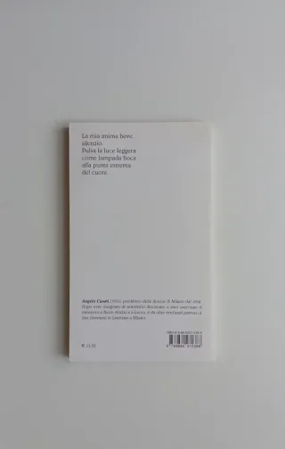 Nel silenzio delle cose di Angelo Casati