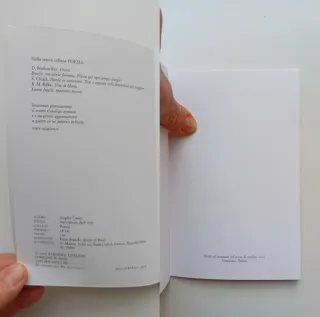 Nel silenzio delle cose di Angelo Casati