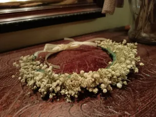 Corona de flor seca paniculata