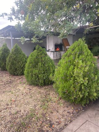 Alquiler casa chalet