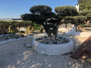 Alquiler casa chalet