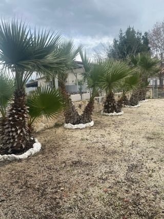 Alquiler casa chalet