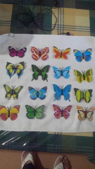 50 Mariposas Cartulina con iman son cincuenta