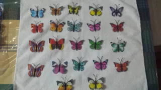 50 Mariposas Cartulina con iman son cincuenta
