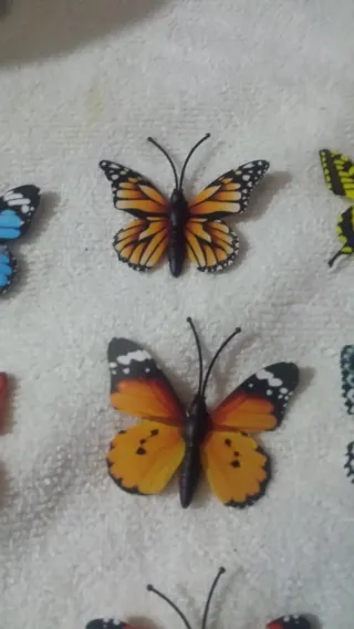 50 Mariposas Cartulina con iman son cincuenta
