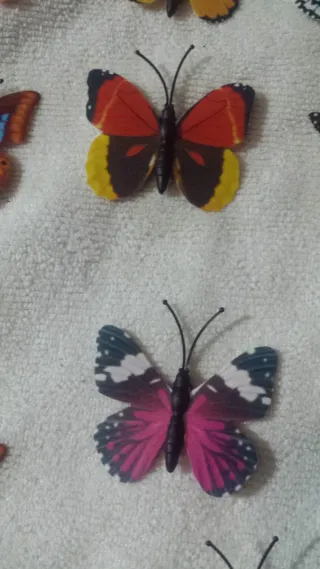 50 Mariposas Cartulina con iman son cincuenta