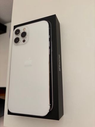 iPhone 12 Pro Max 256 GB