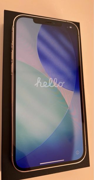 iPhone 12 Pro Max 256 GB