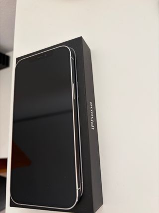 iPhone 12 Pro Max 256 GB