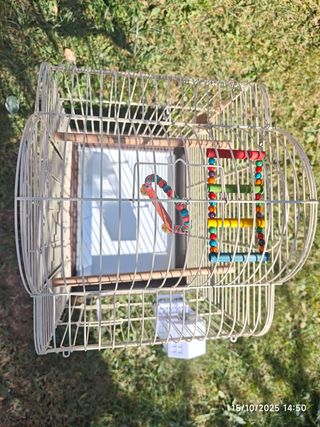 Jaula para pájaros beige y multicolor