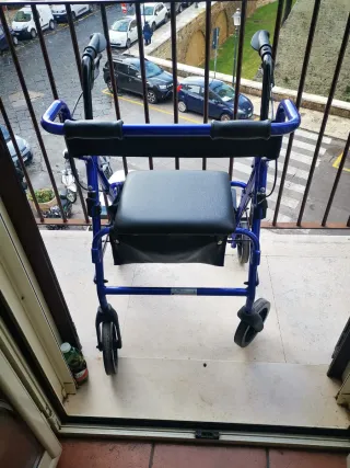 Deambulatore 2 in 1: Carrozzina e Deambulatore