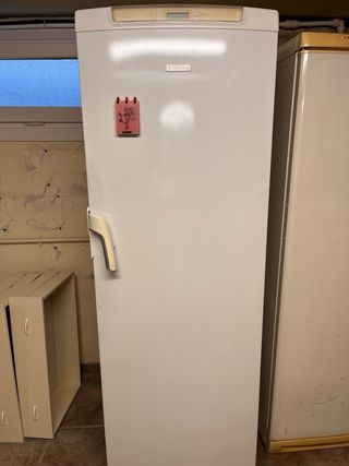 Nevera Electrolux Blanca