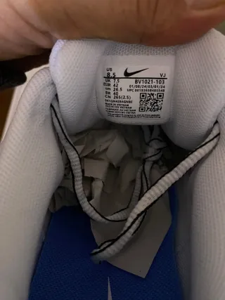 Nike P-6000 Plata y Azul