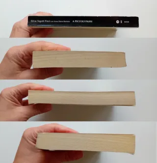 A piccoli passi,S.Vegetti Finzi/A.M.Battistin