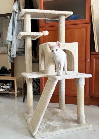 Rascador para gatos beige