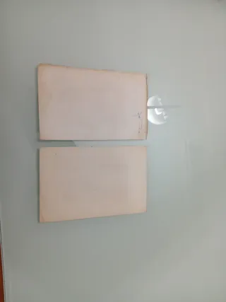 Litografía antigua animales