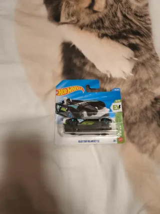 Hot Wheels Electro Silhouette TH.