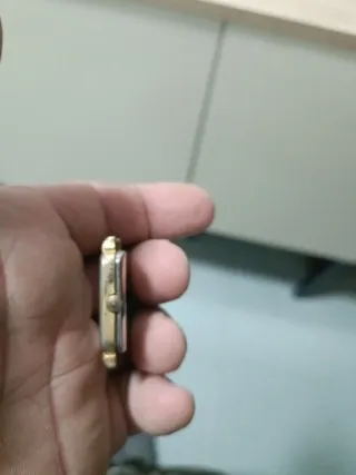 Reloj Audel Cuarzo Dorado y Blanco