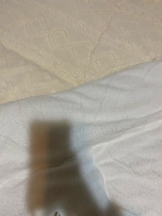 Nórdico polar nuevo