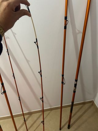 Cañas de Pesca Daiwa Cast'izm 33 tubular