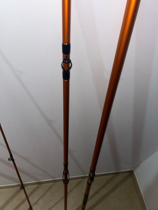 Cañas de Pesca Daiwa Cast'izm 33 tubular