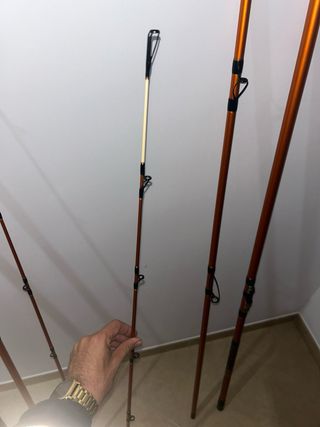 Cañas de Pesca Daiwa Cast'izm 33 tubular