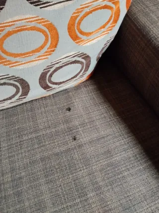 Sofá de 3 plazas tela. Recoger en casa