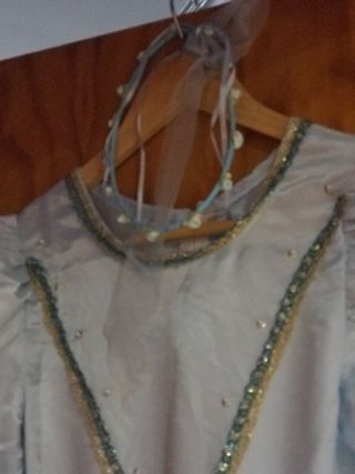 Disfraz Princesa Azul con Bordado Dorado