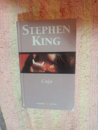 Lote libros Stephen King