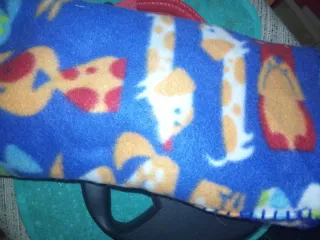 Set cane guinzaglio,collare etc