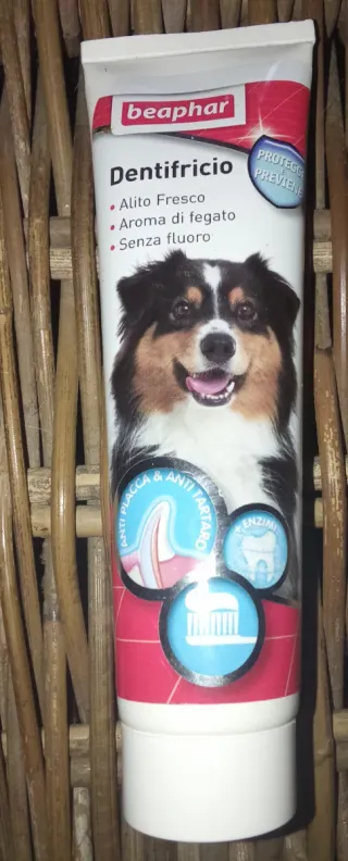 Set cane guinzaglio,collare etc