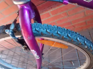 Bicicleta Morada y Plateada